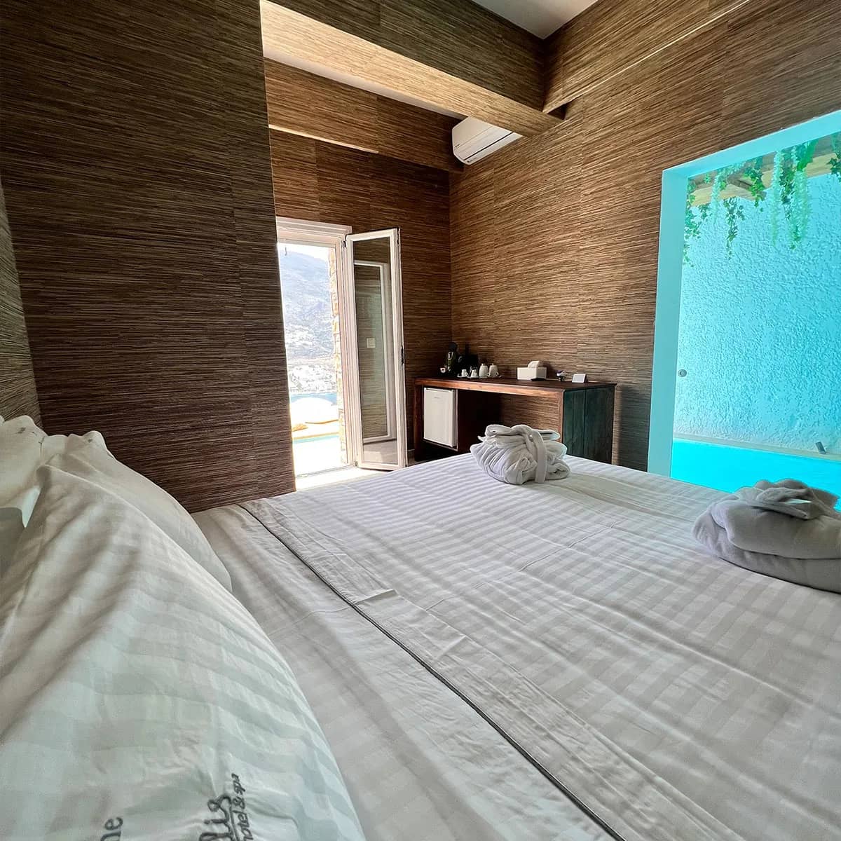 Deluxe with Cave Pool room photo 6