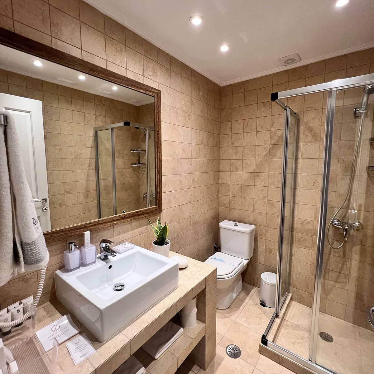 Deluxe with Cave Pool room photo 5